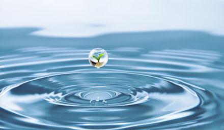 喜报 | 304am永利集团股份成功获评“江苏省节水型企业”！